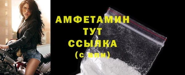 ECSTASY Богданович