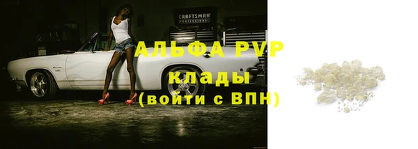 ECSTASY Богданович