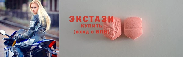 ECSTASY Богданович