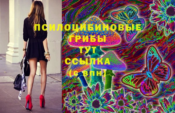 тгк Бородино