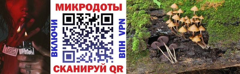 Галлюциногенные грибы MAGIC MUSHROOMS  omg как войти  Михайловка  продажа наркотиков 